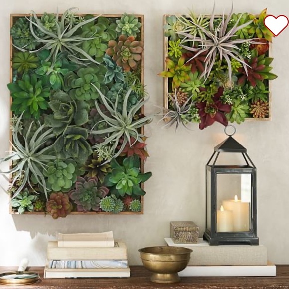 Pottery Barn Other - Pottery Barn Faux Succulent Wall Art Large